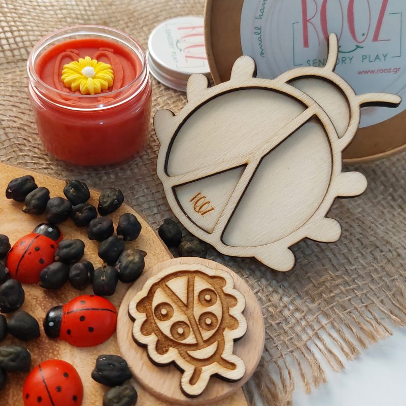 Ladybug Mini Kit - Image 2