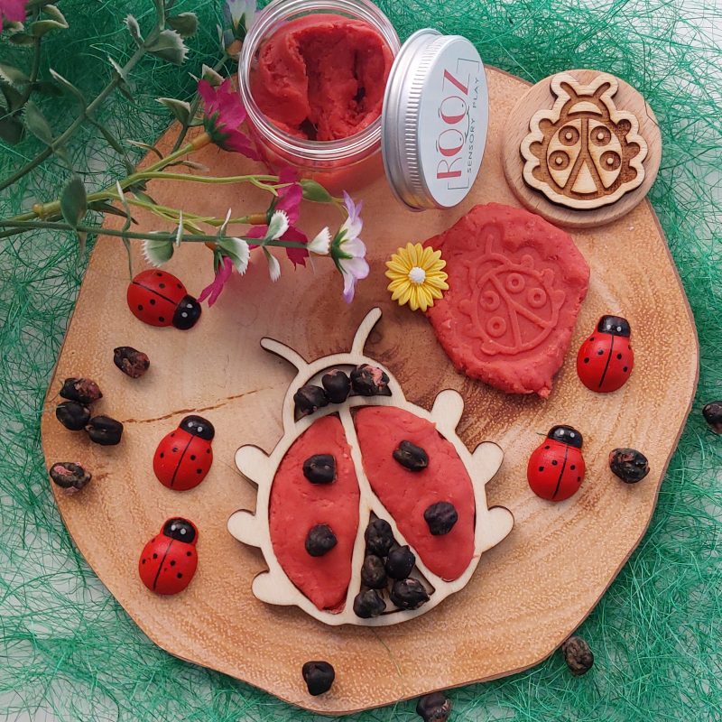 Ladybug Mini Kit